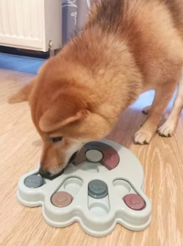 Interactive Dog Feeder for Large Dogs â Feed the mind, stimulate the appetite