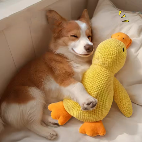 Duck Plush – An irresistible and comforting playmate