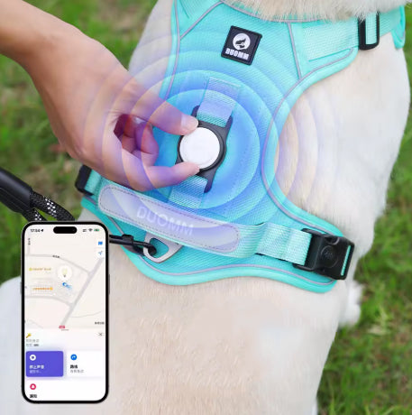 Anti-Pull Harness – Control, comfort and safety on walks