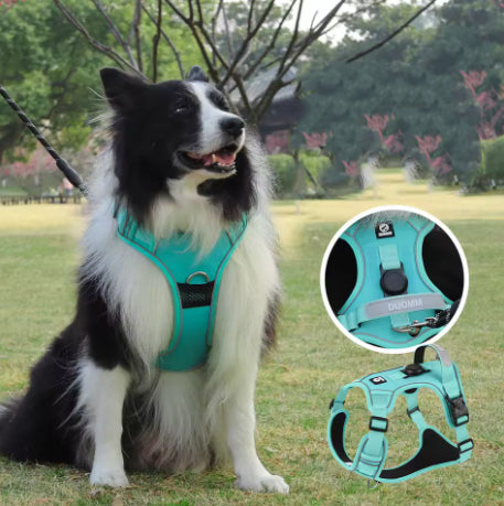 Anti-Pull Harness – Control, comfort and safety on walks