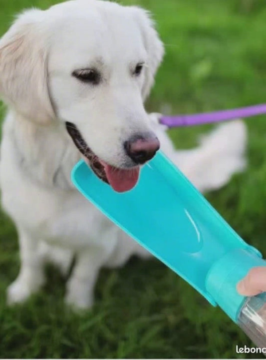Dog Water Bottle – Easy hydration, anytime, anywhere